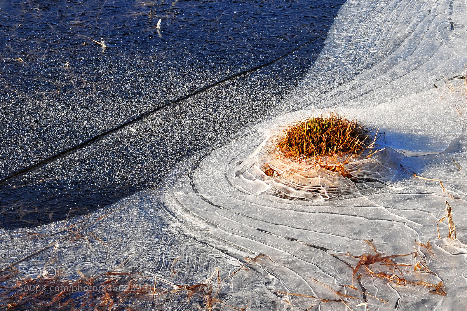 Nikon D300 sample photo. Winter photography