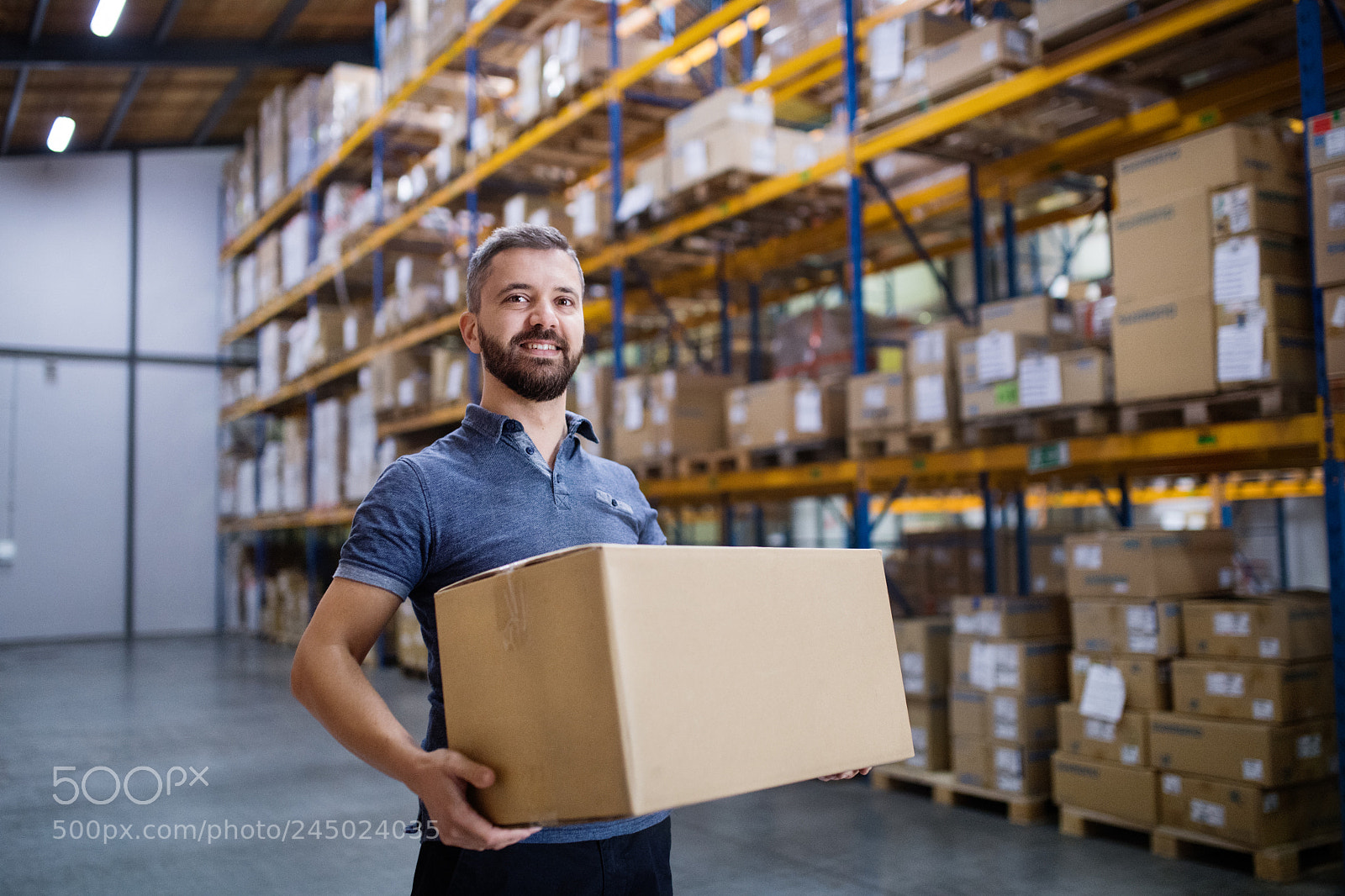 Nikon D5 sample photo. Male warehouse worker with photography