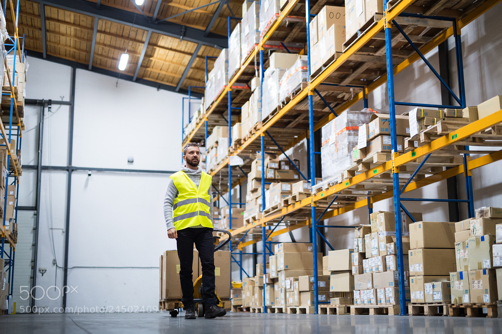 Nikon D5 sample photo. Male warehouse worker pulling photography