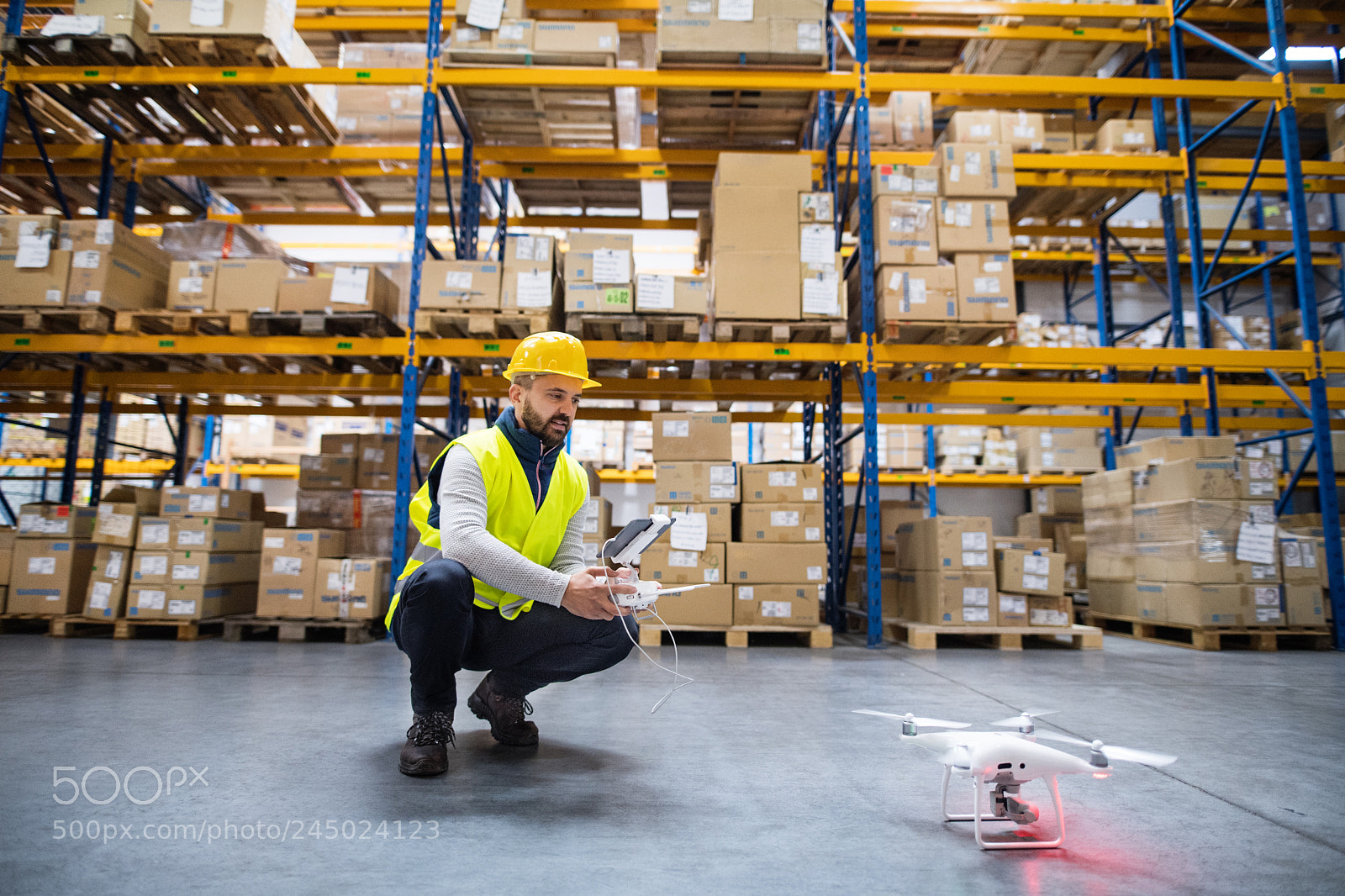 Nikon D5 sample photo. Man with drone in photography
