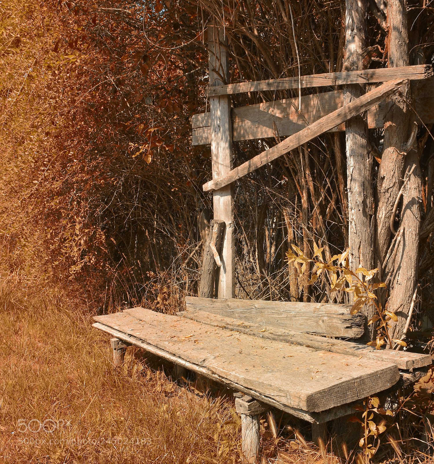 Nikon D7200 sample photo. The bench photography