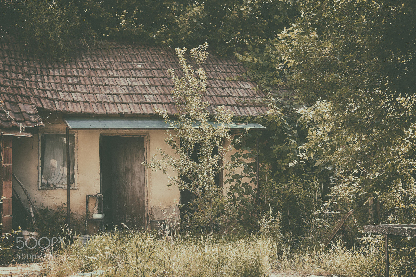 Nikon D7200 sample photo. The house photography