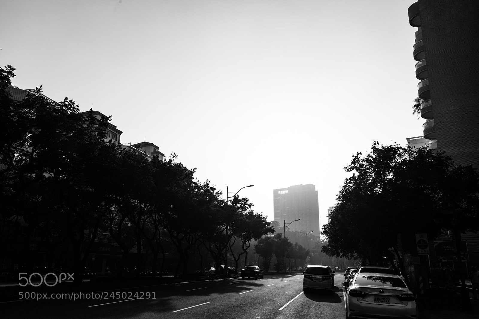 Sony a7 II sample photo. Untitled photography