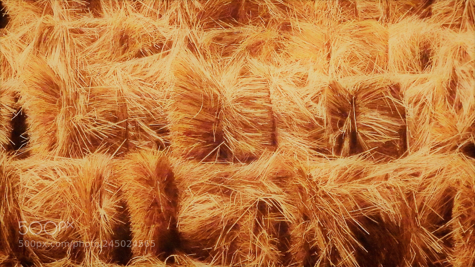 Olympus SP-100EE sample photo. Hay bales photography