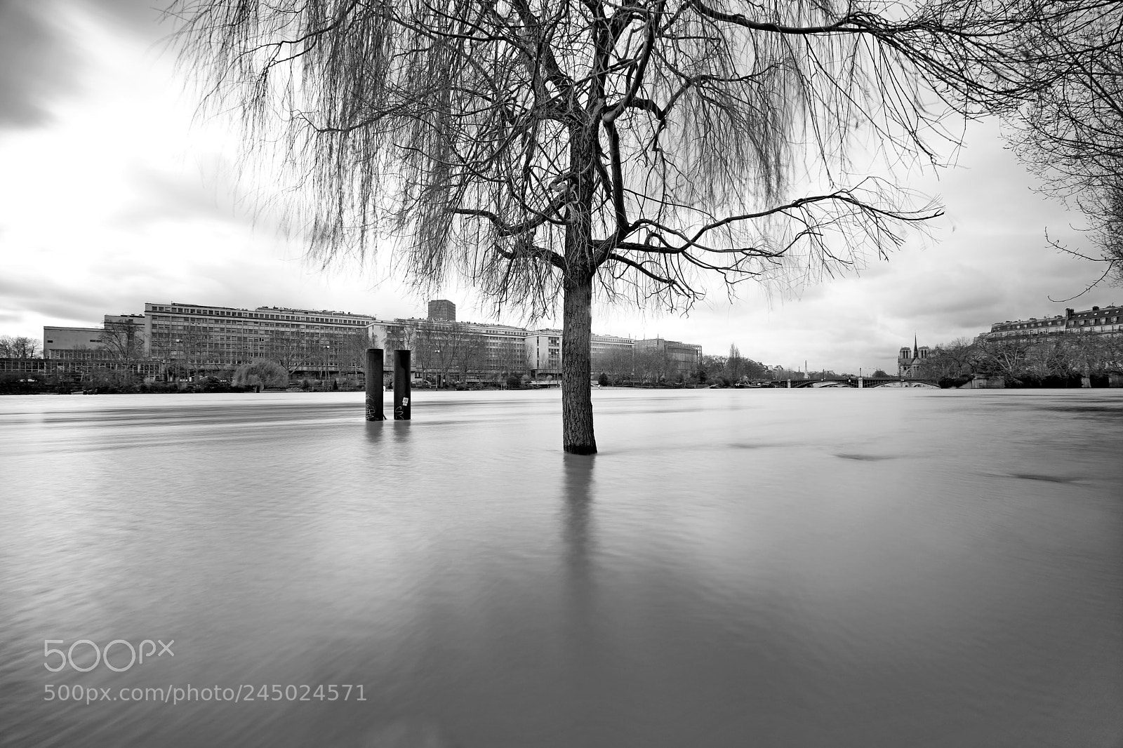 Fujifilm X-Pro2 sample photo. La seine. photography