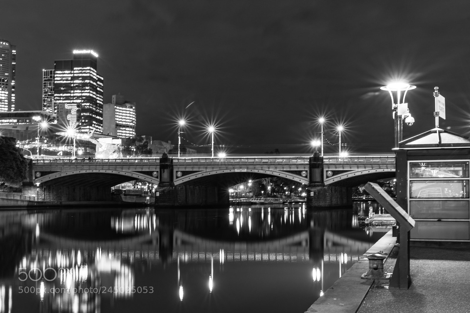 Nikon D7200 sample photo. Princes bridge over the photography