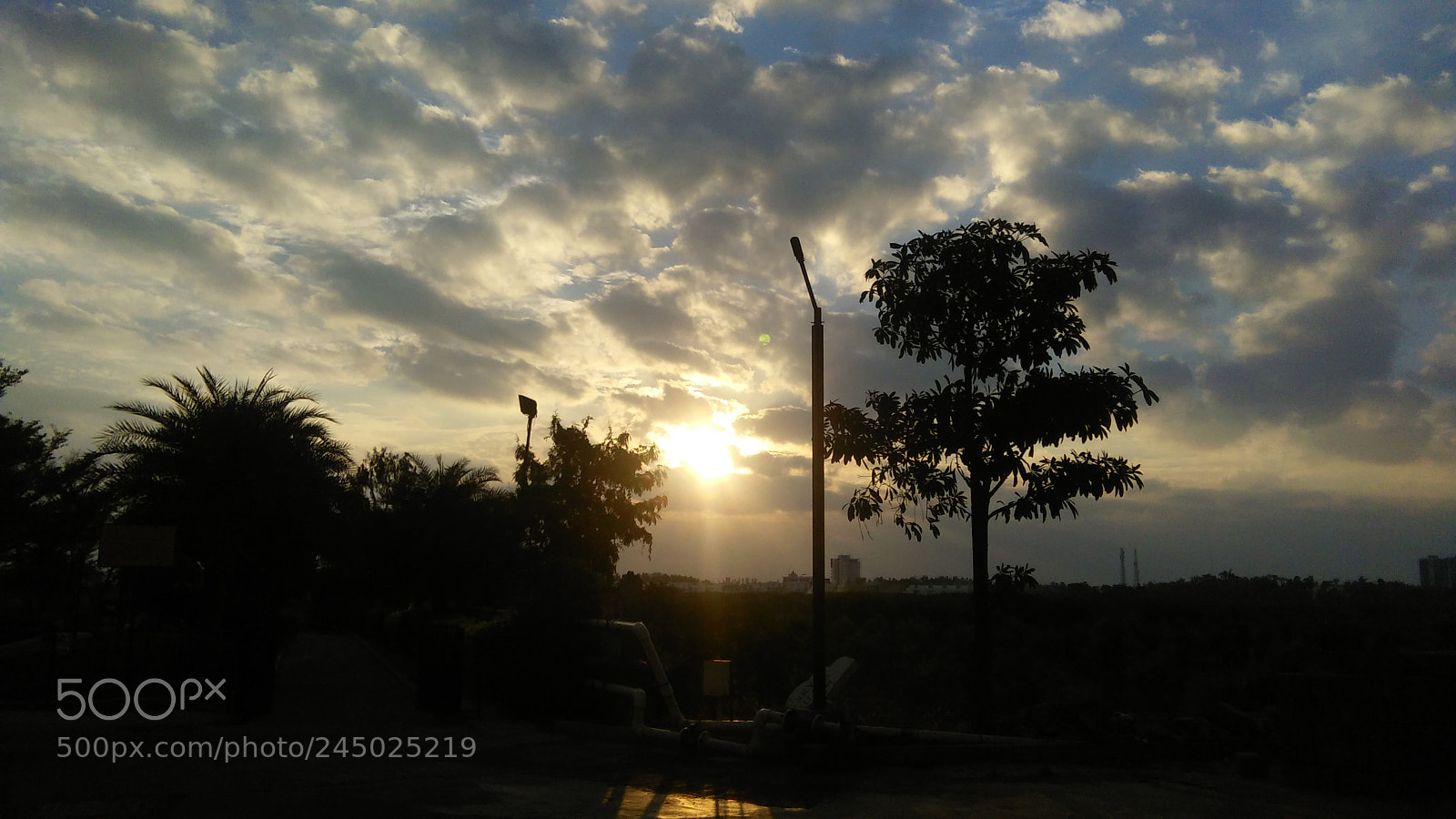 OPPO A33f sample photo. Clicks for morning photography