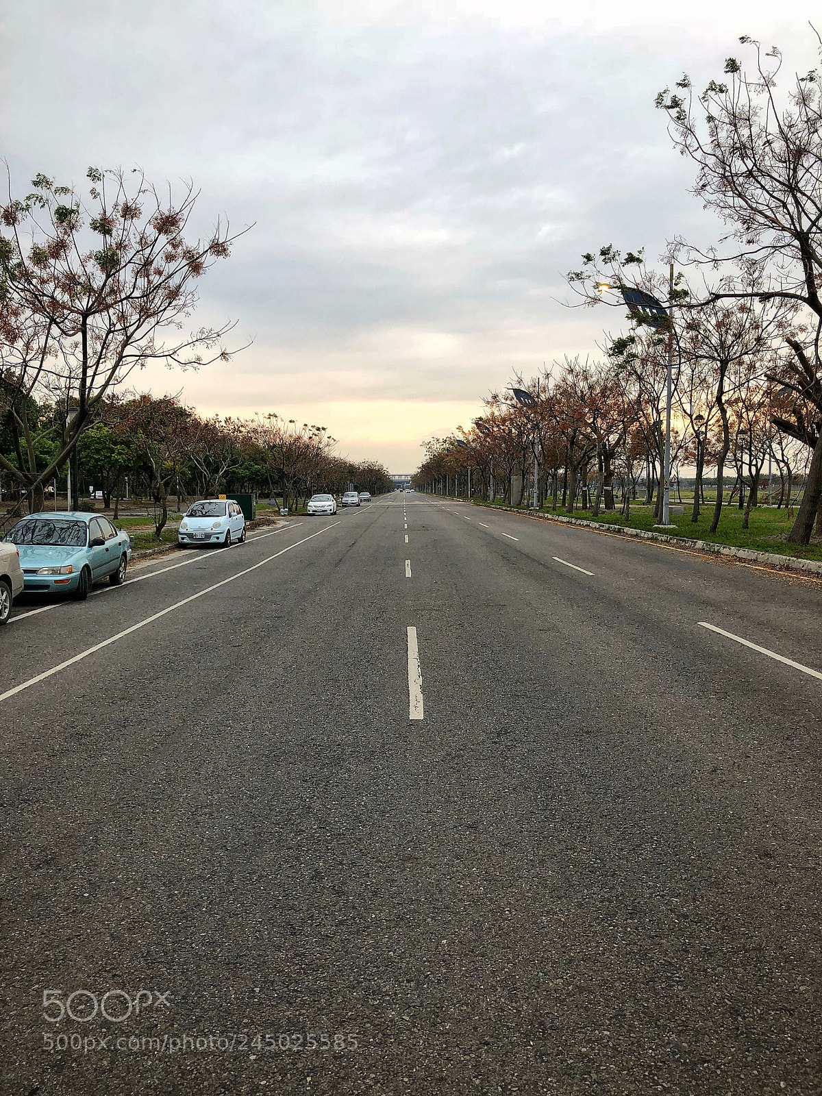 Apple iPhone 8 Plus sample photo. Untitled photography