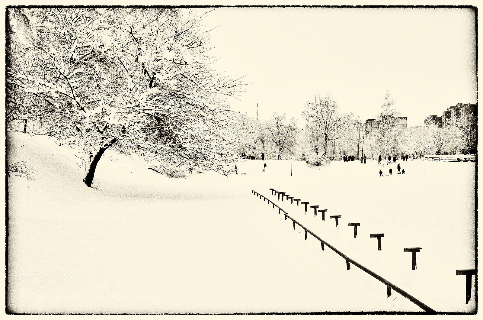 Nikon D5100 sample photo. Winter graphics photography