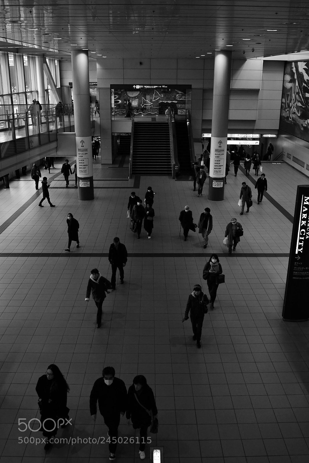 Nikon D500 sample photo. Rectangle photography