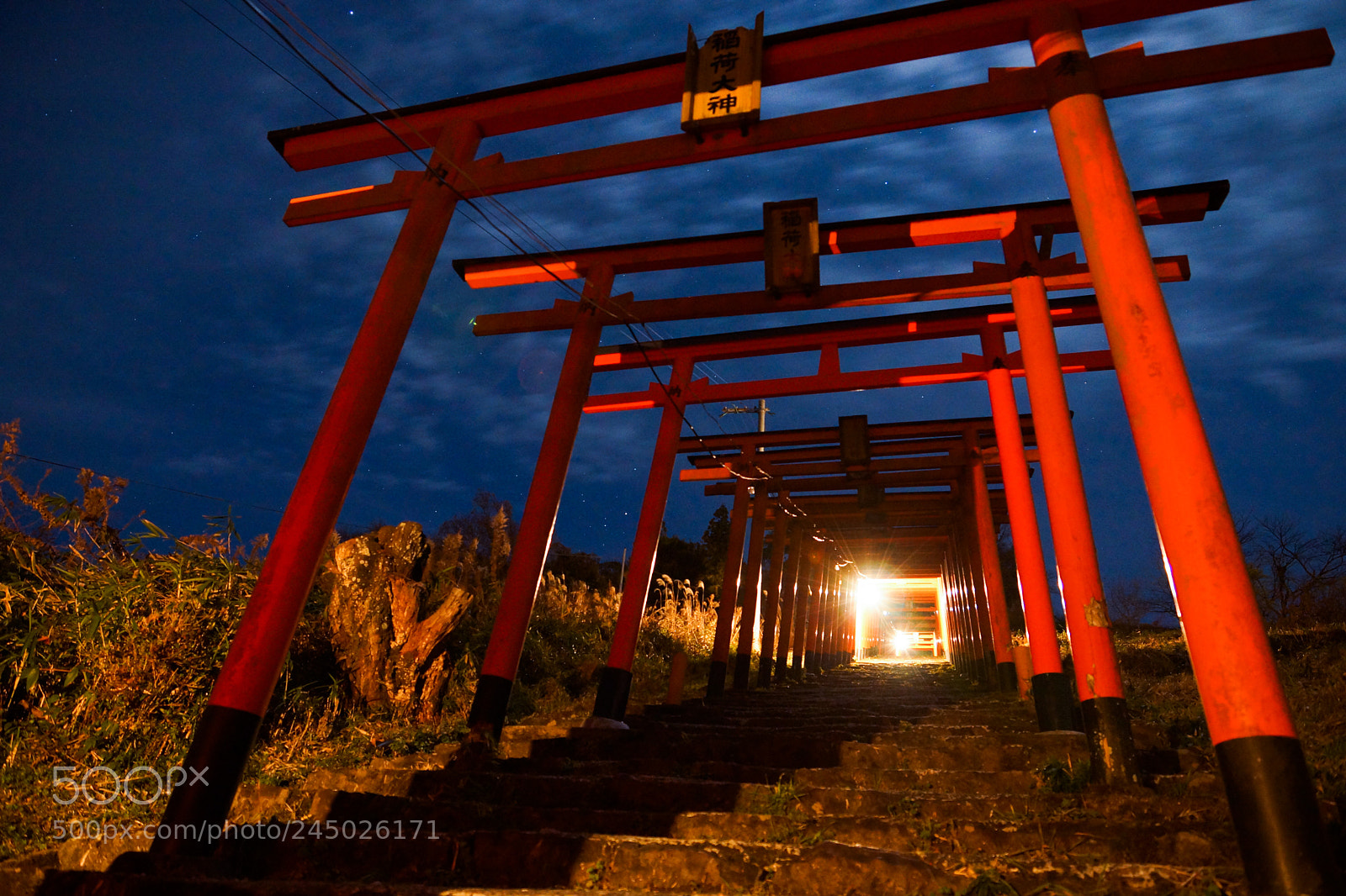 Sony SLT-A77 sample photo. Torii photography