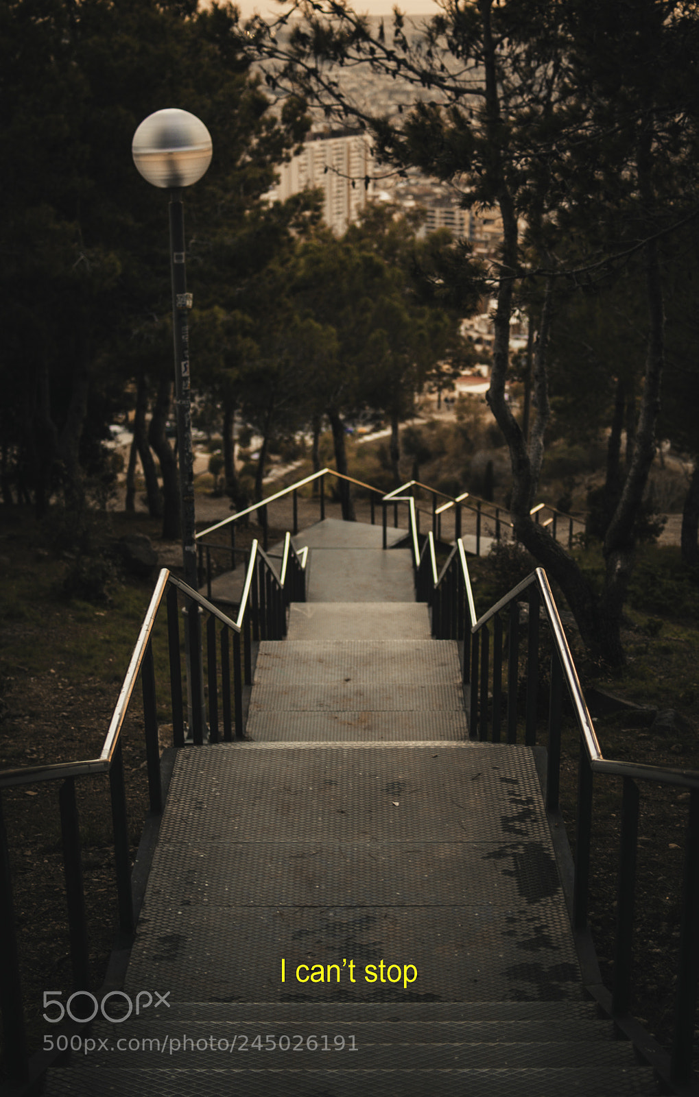 Nikon D5200 sample photo. I can't stop photography