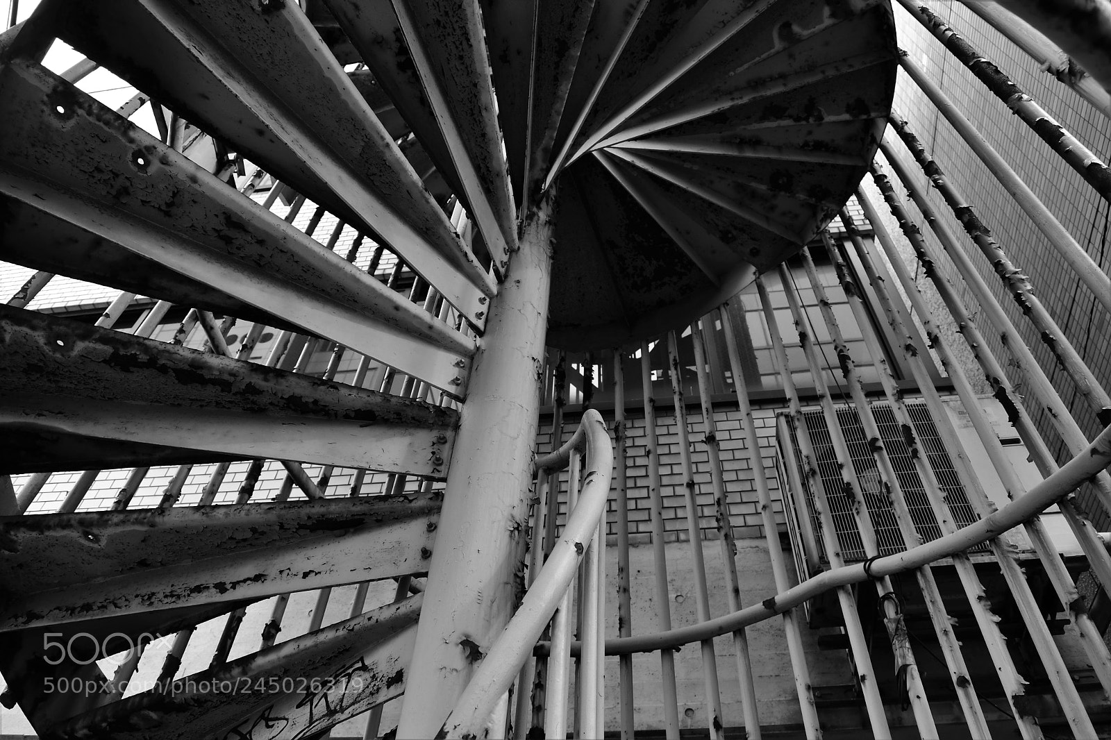Nikon D500 sample photo. Spiral photography