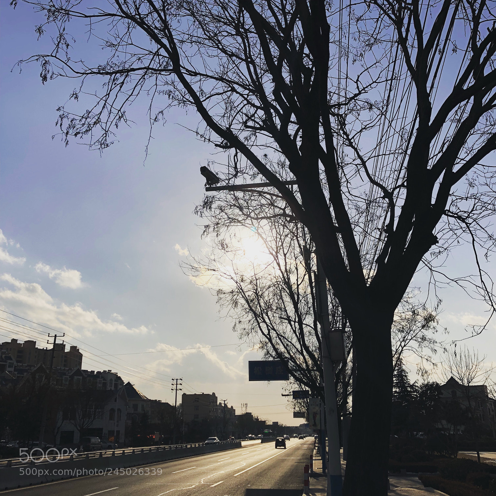 Apple iPhone 8 sample photo. The light，the shadow。 photography
