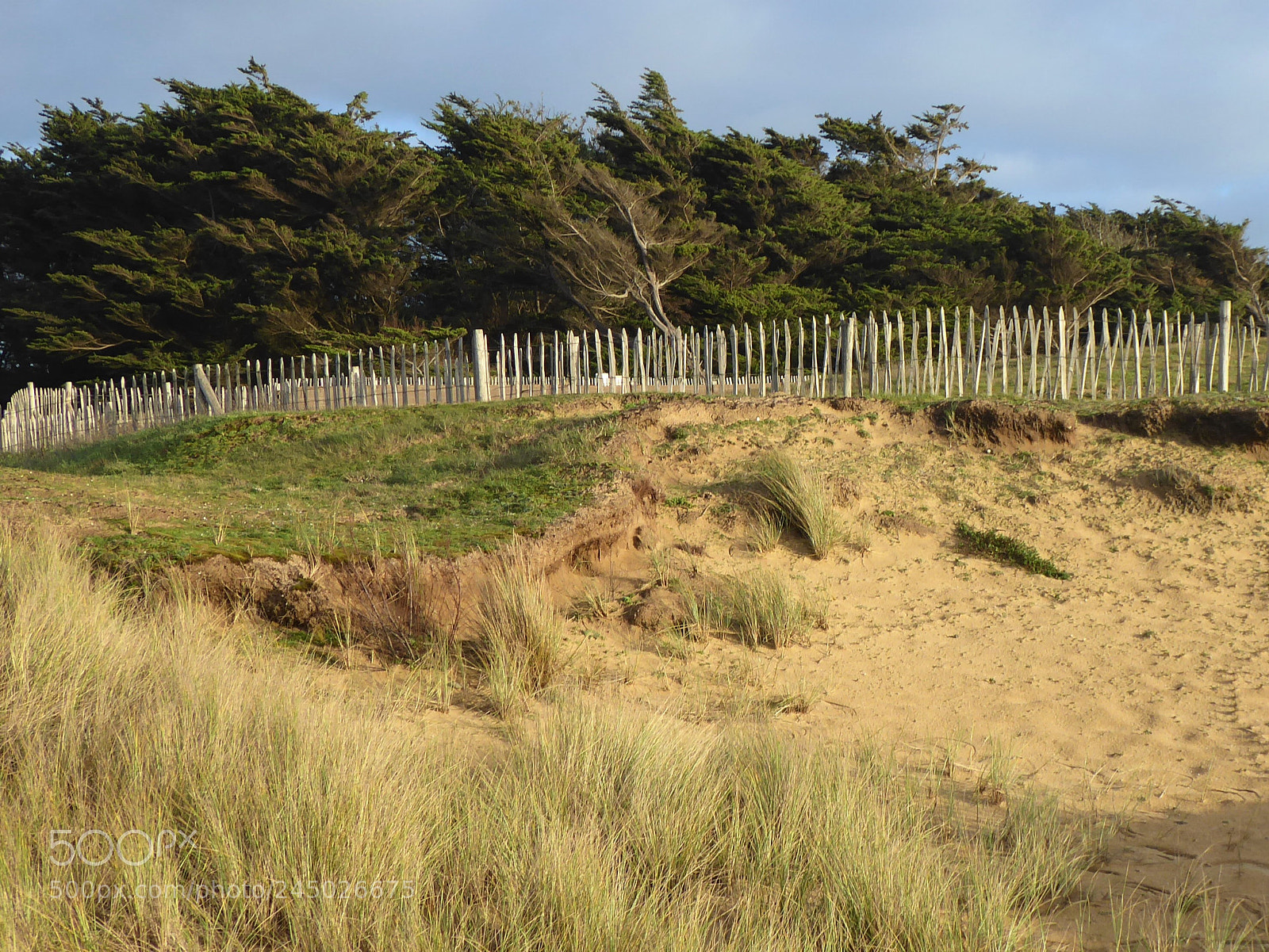 Panasonic Lumix DMC-ZS50 (Lumix DMC-TZ70) sample photo. Sud bretagne photography