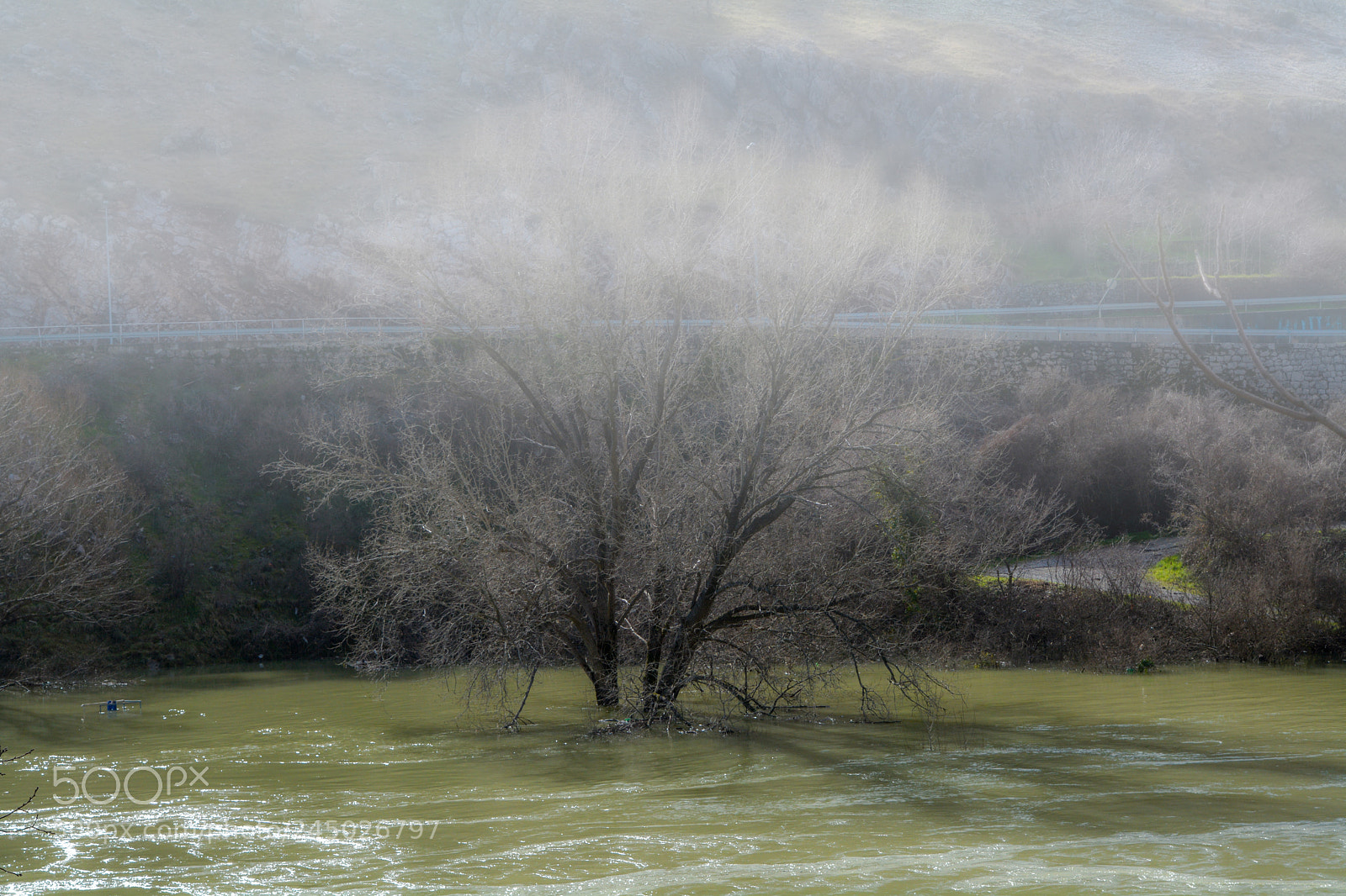 Nikon D7100 sample photo. Fog photography