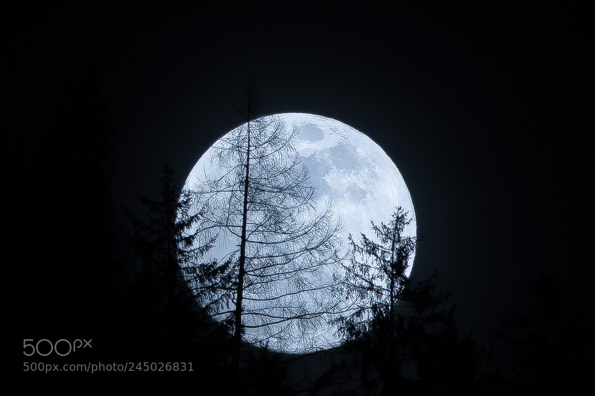 Canon EOS 6D Mark II sample photo. Bluemoon of switzerland photography