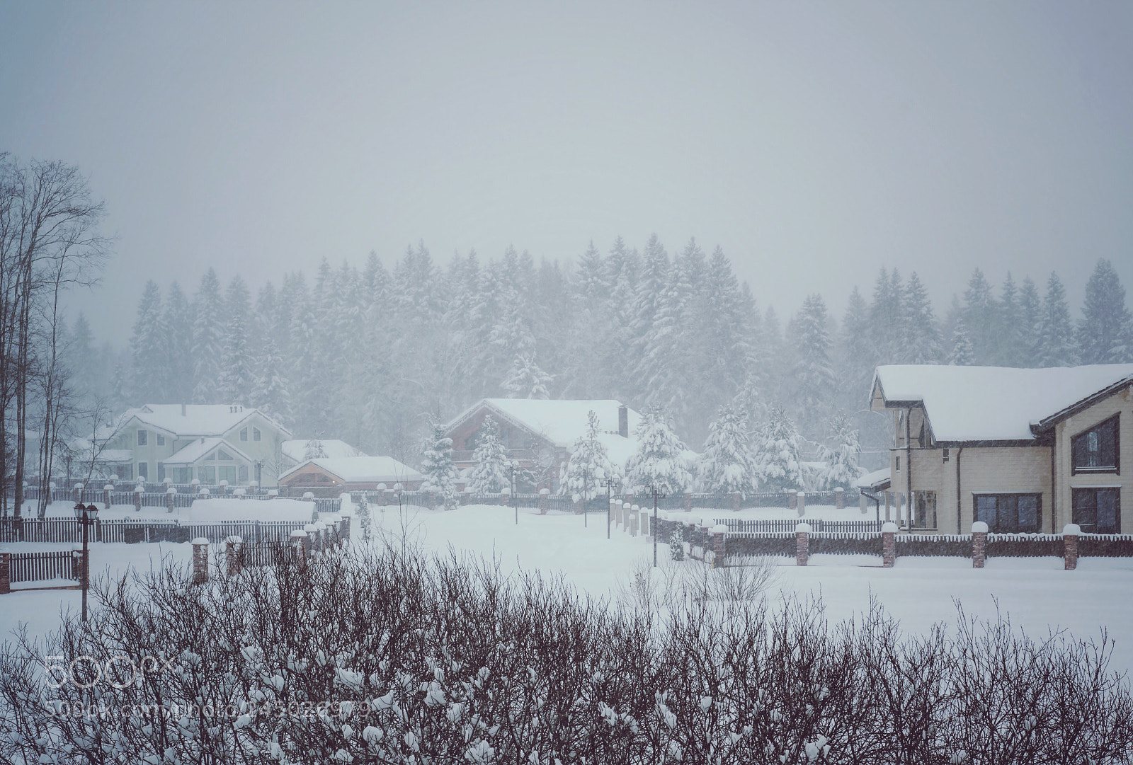 Nikon D700 sample photo. Snowfall photography