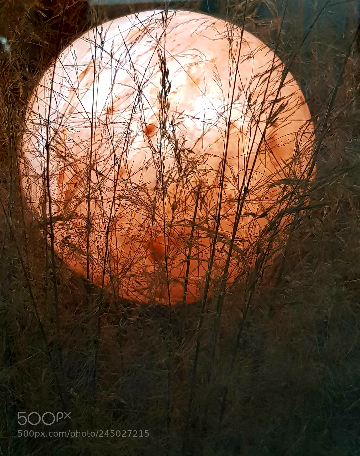 Samsung Galaxy S8 sample photo. Night artiste inconnu artgen photography