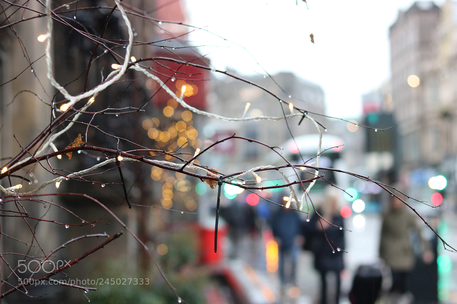 Canon EOS 750D (EOS Rebel T6i / EOS Kiss X8i) + Canon EF 50mm F1.8 STM sample photo. Img photography