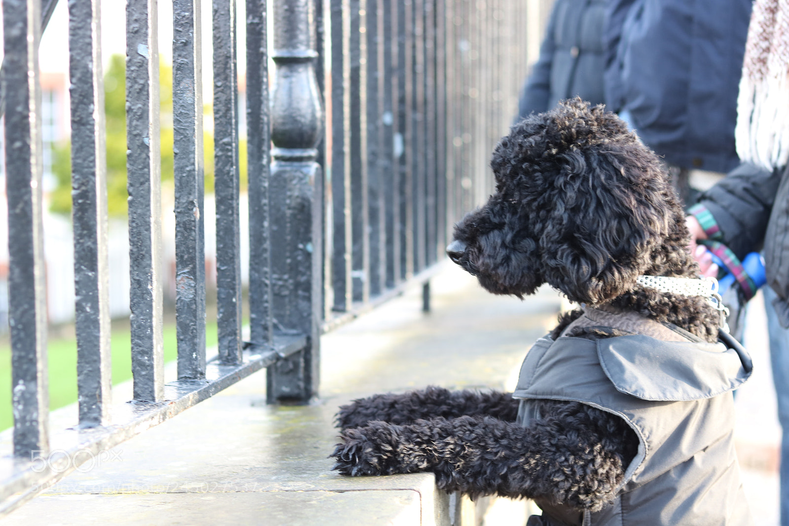 Canon EOS 750D (EOS Rebel T6i / EOS Kiss X8i) + Canon EF 50mm F1.8 STM sample photo. Img photography