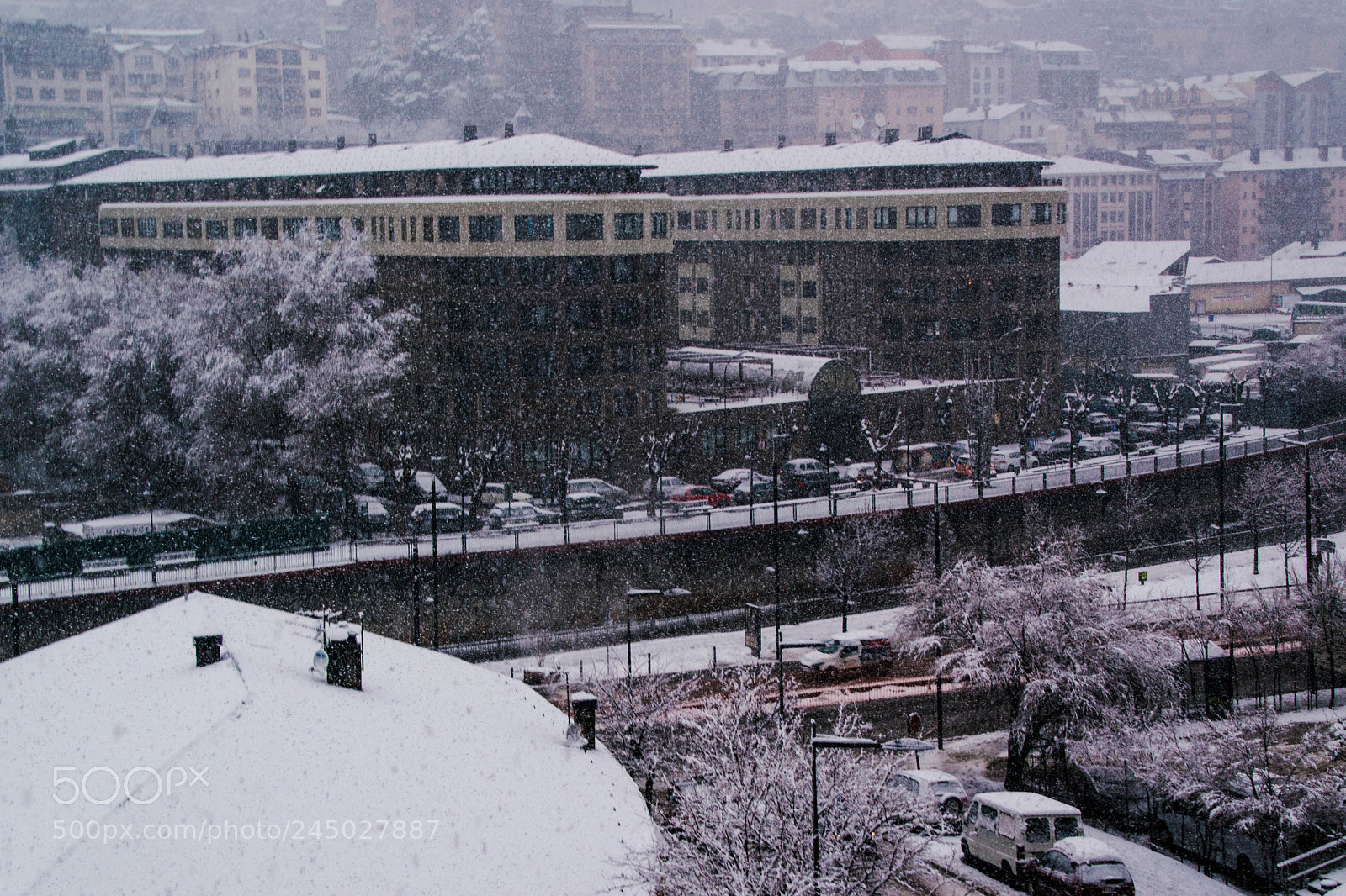 Nikon D5600 sample photo. Nevando photography