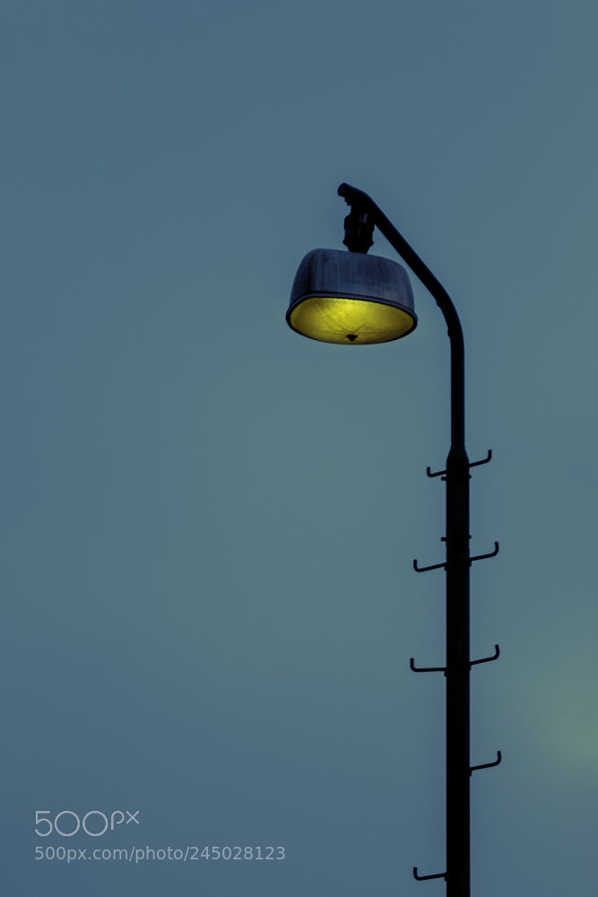 Canon EOS 7D Mark II sample photo. My little lamp photography