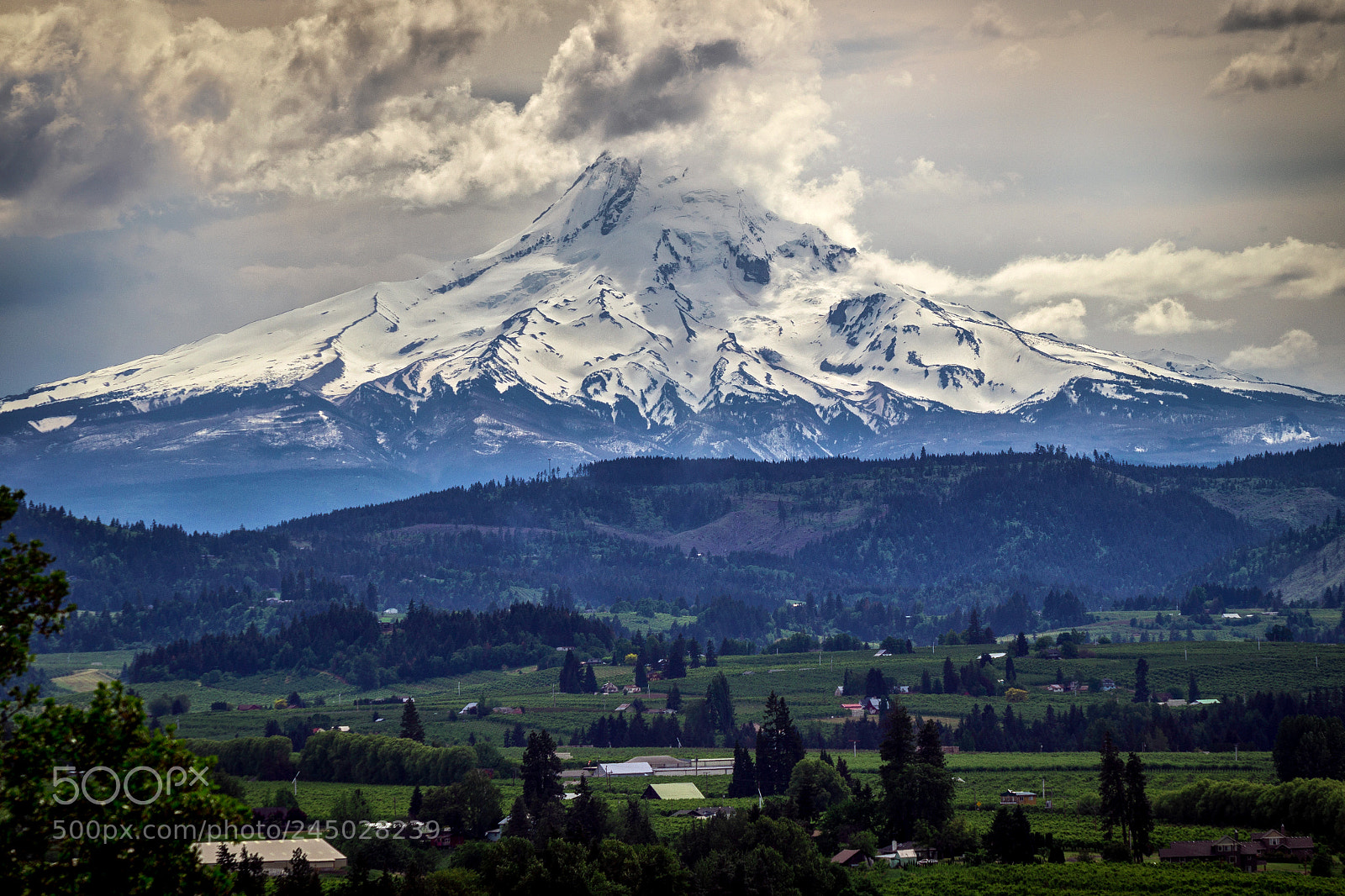 Sony SLT-A58 sample photo. The mighty mt. hood photography