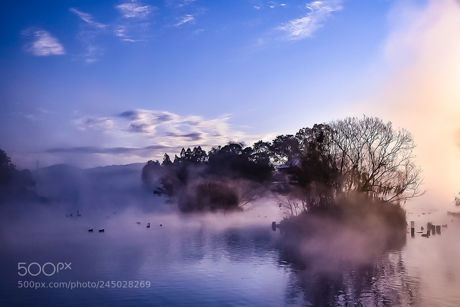 Nikon D5500 sample photo. Morning mist of ukishima photography