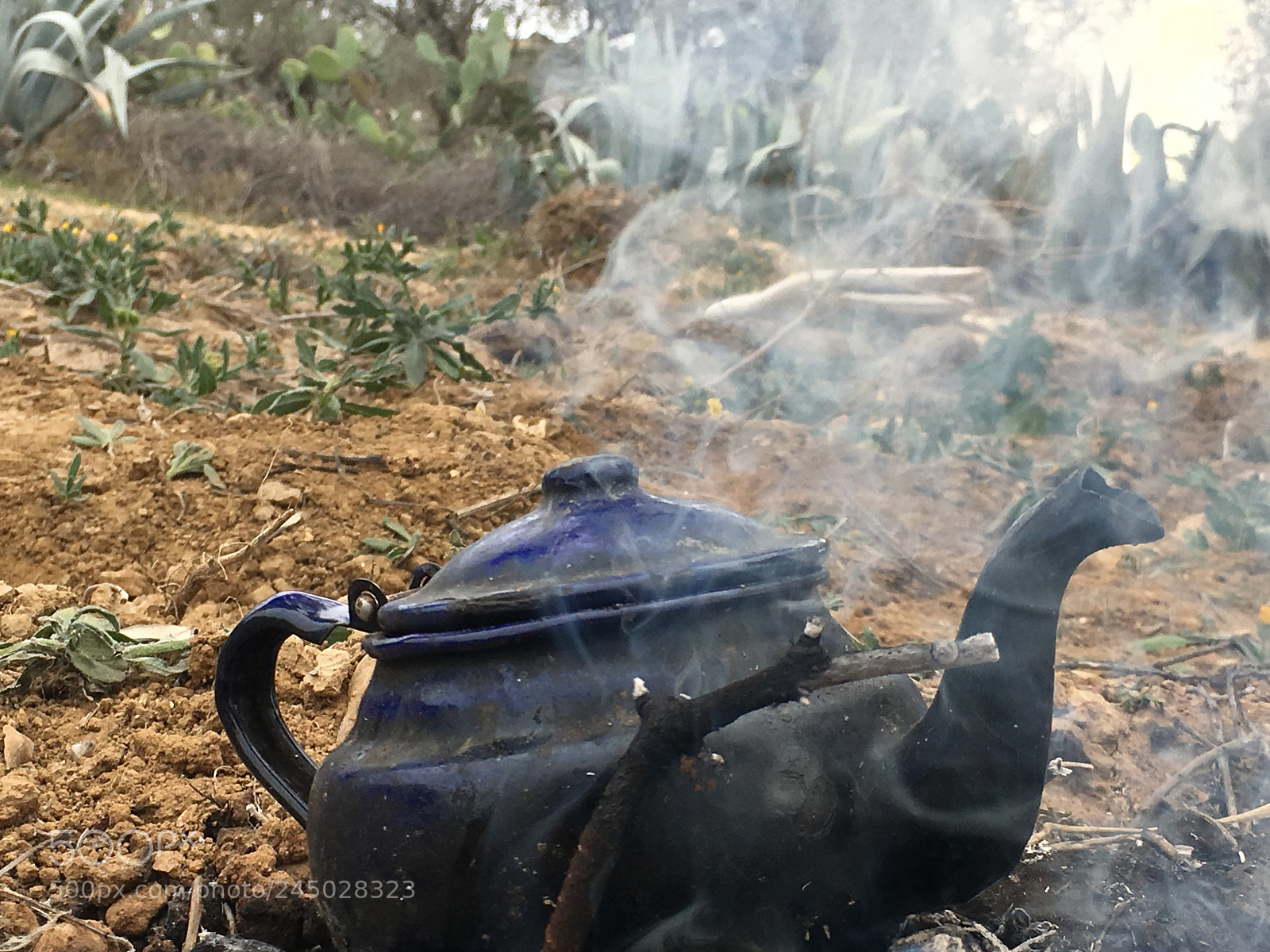 Apple iPhone SE sample photo. Smoking tea photography