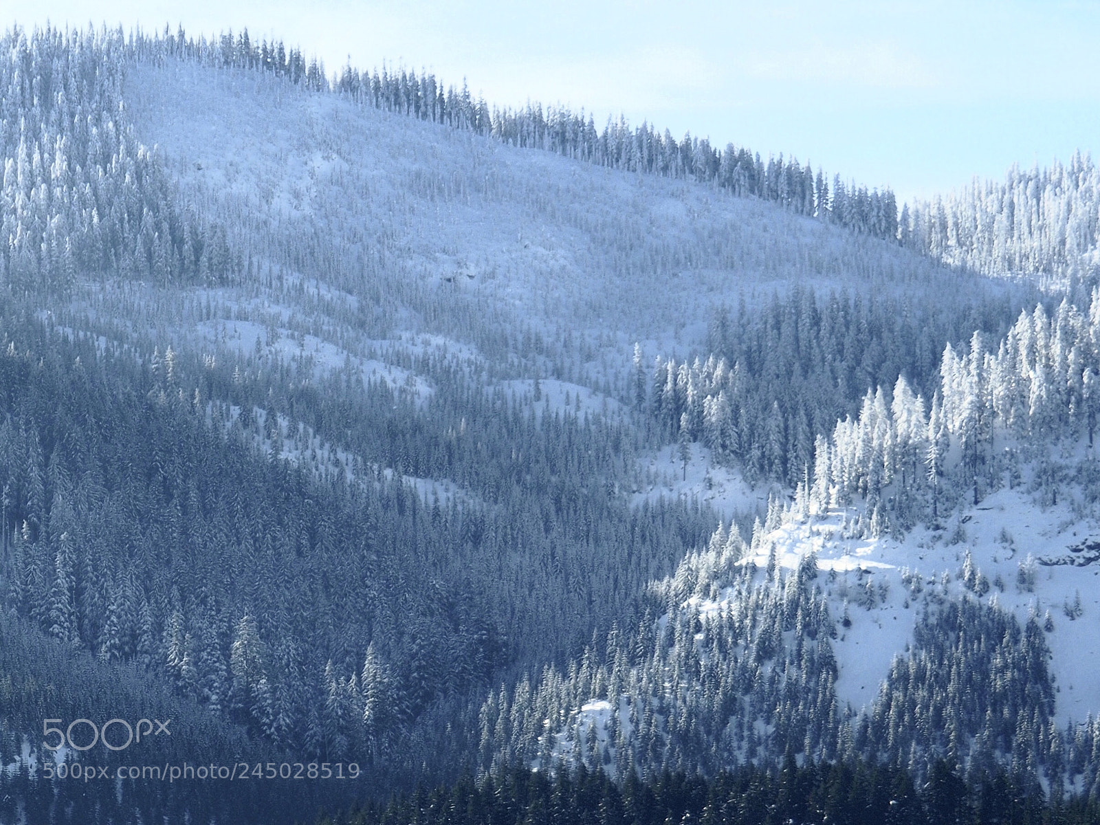 Olympus OM-D E-M5 II sample photo. Snowy day photography