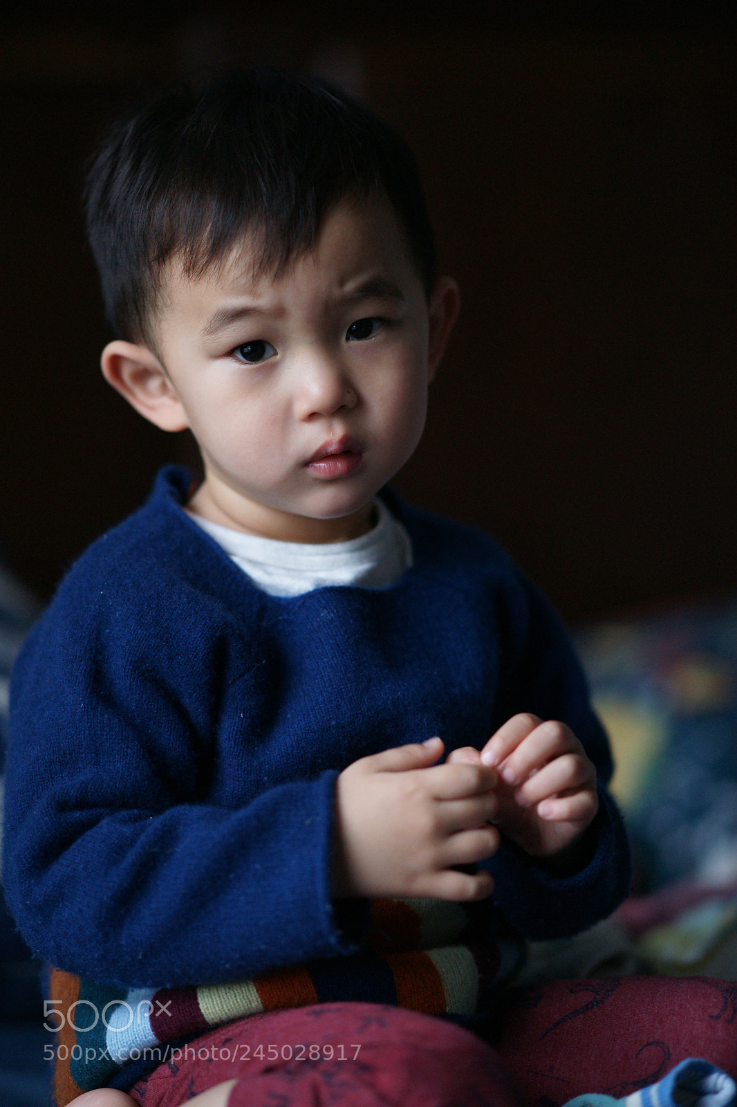 Sony Alpha DSLR-A850 sample photo. Untitled photography