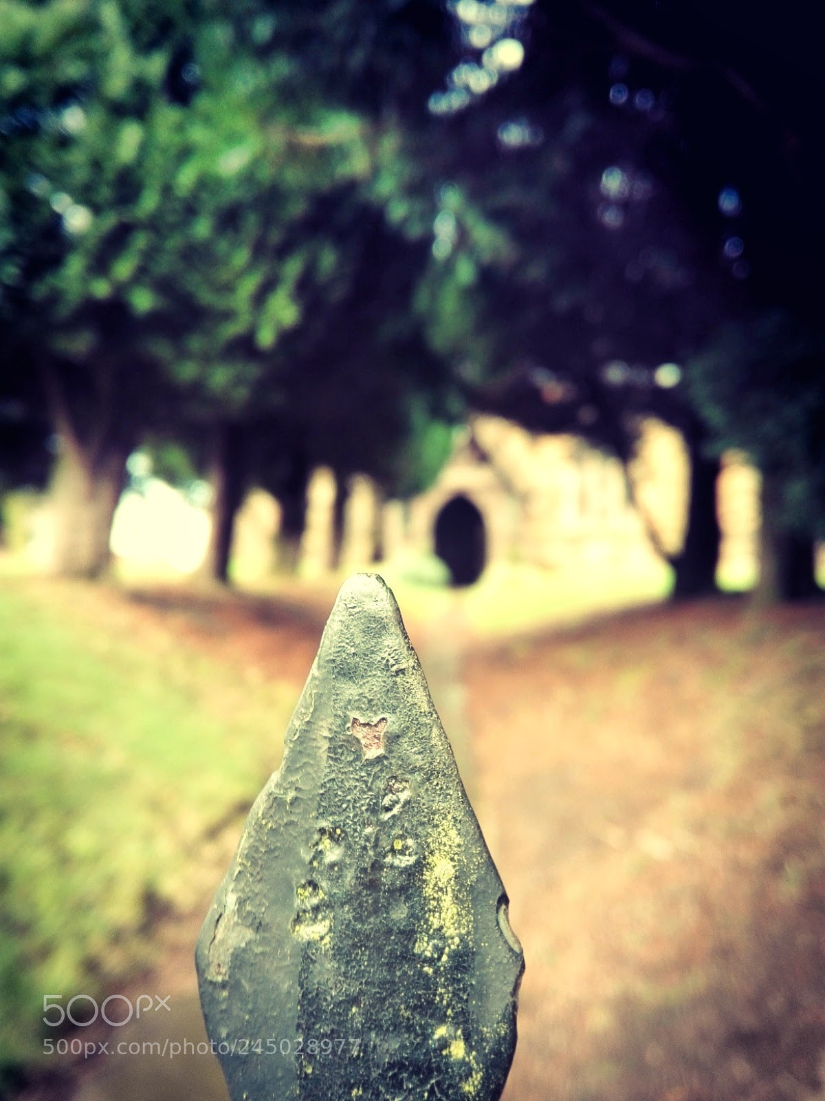 HUAWEI P8 Lite sample photo. Spear photography