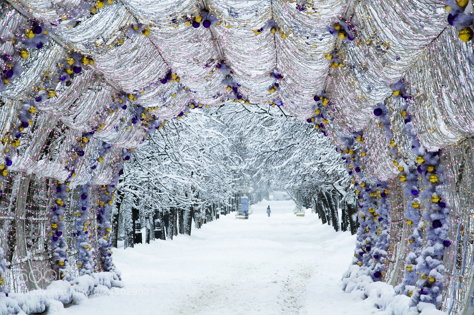 Nikon D5000 sample photo. Moscow. tverskoy boulevard photography