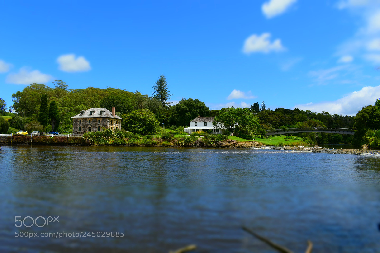 Nikon D5600 sample photo. Sone store inlet photography