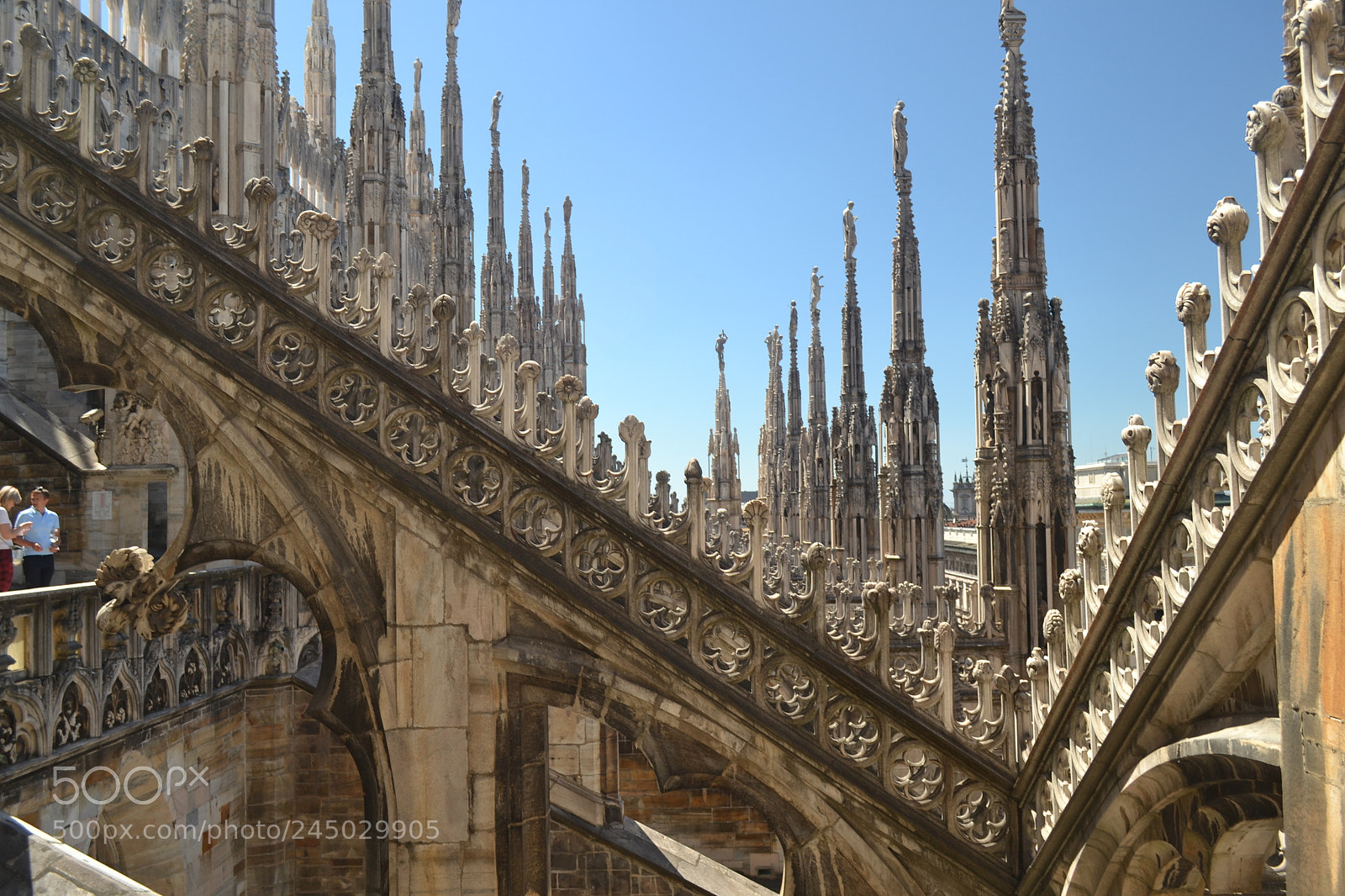 Nikon D3100 sample photo. Infinite milano photography
