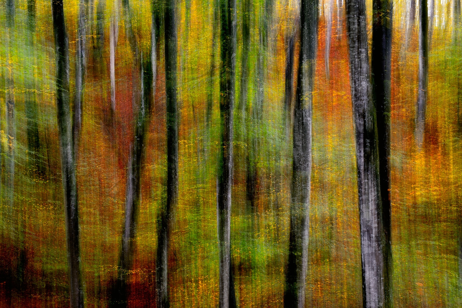 Nikon D800 sample photo. Udazkena margotzen (painting autumn) photography