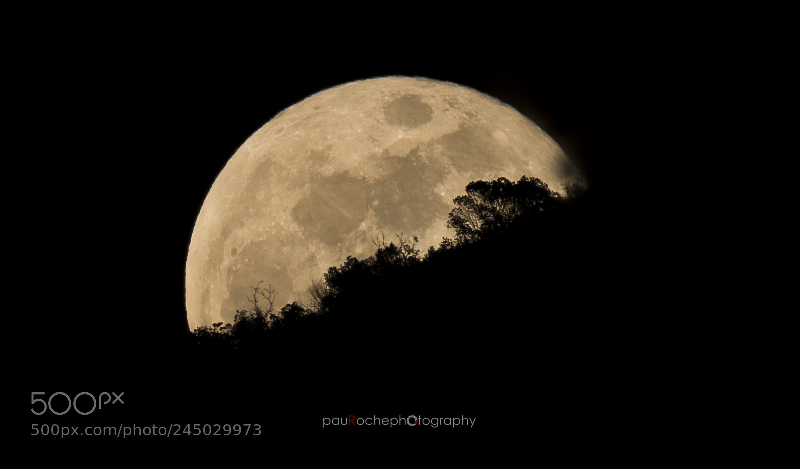 Nikon D810 sample photo. Super moon 2018 photography