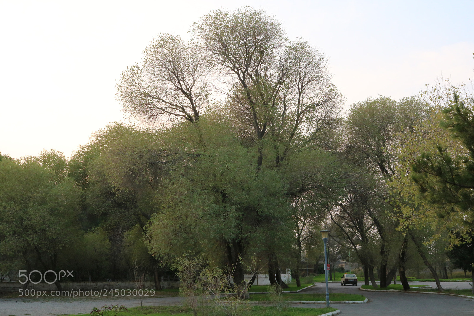 Canon EOS 750D (EOS Rebel T6i / EOS Kiss X8i) sample photo. Untitled photography