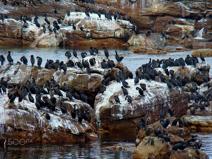 Sony DSC-H9 sample photo. Wonderful south africa photography