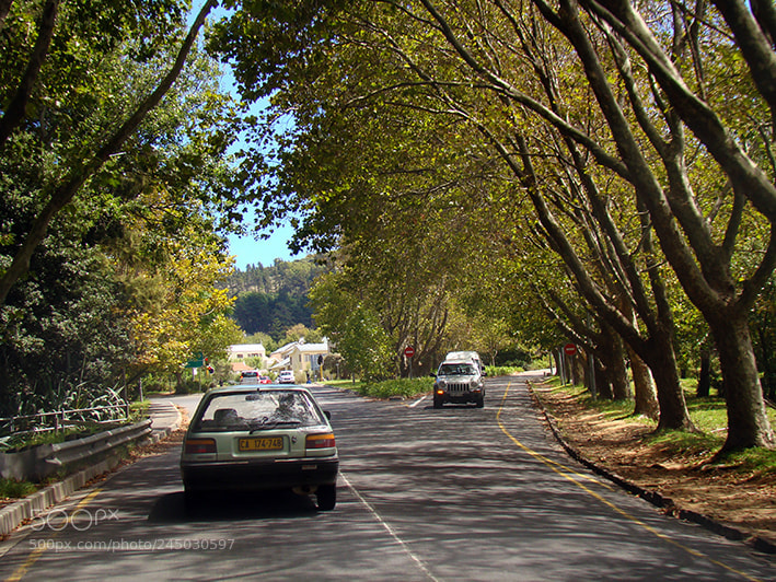Sony DSC-H9 sample photo. Wonderful south africa photography