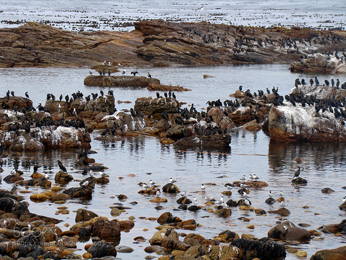 Sony DSC-H9 sample photo. Wonderful south africa photography