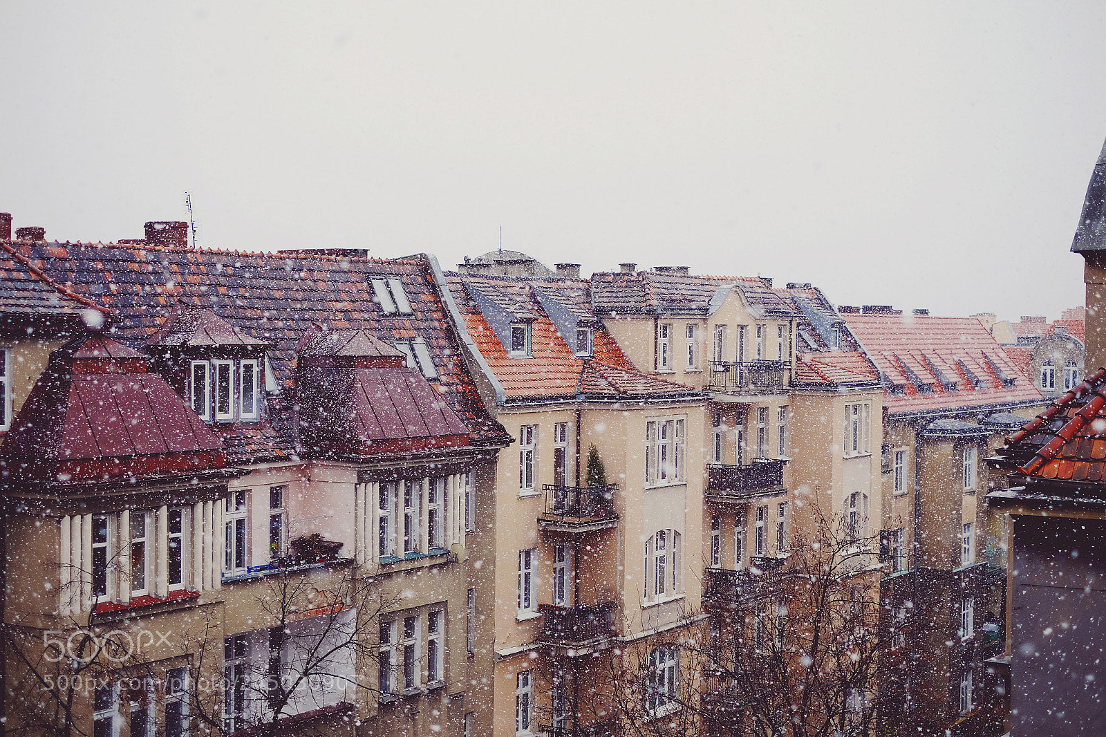 Fujifilm X-E2 sample photo. Snow and the roofs photography