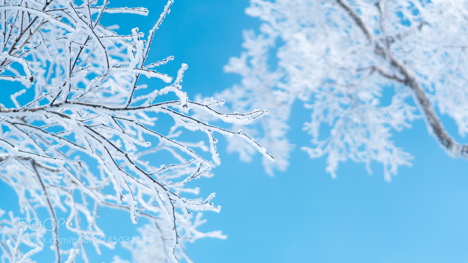 Sony a6300 sample photo. Blue & white photography