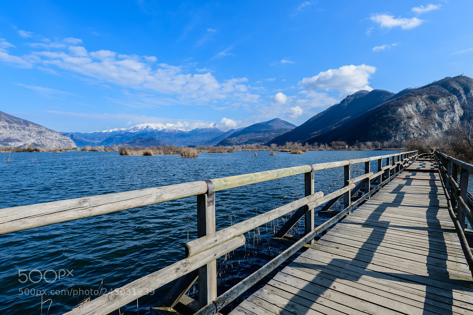 Nikon D850 sample photo. Torbiera del sebino photography