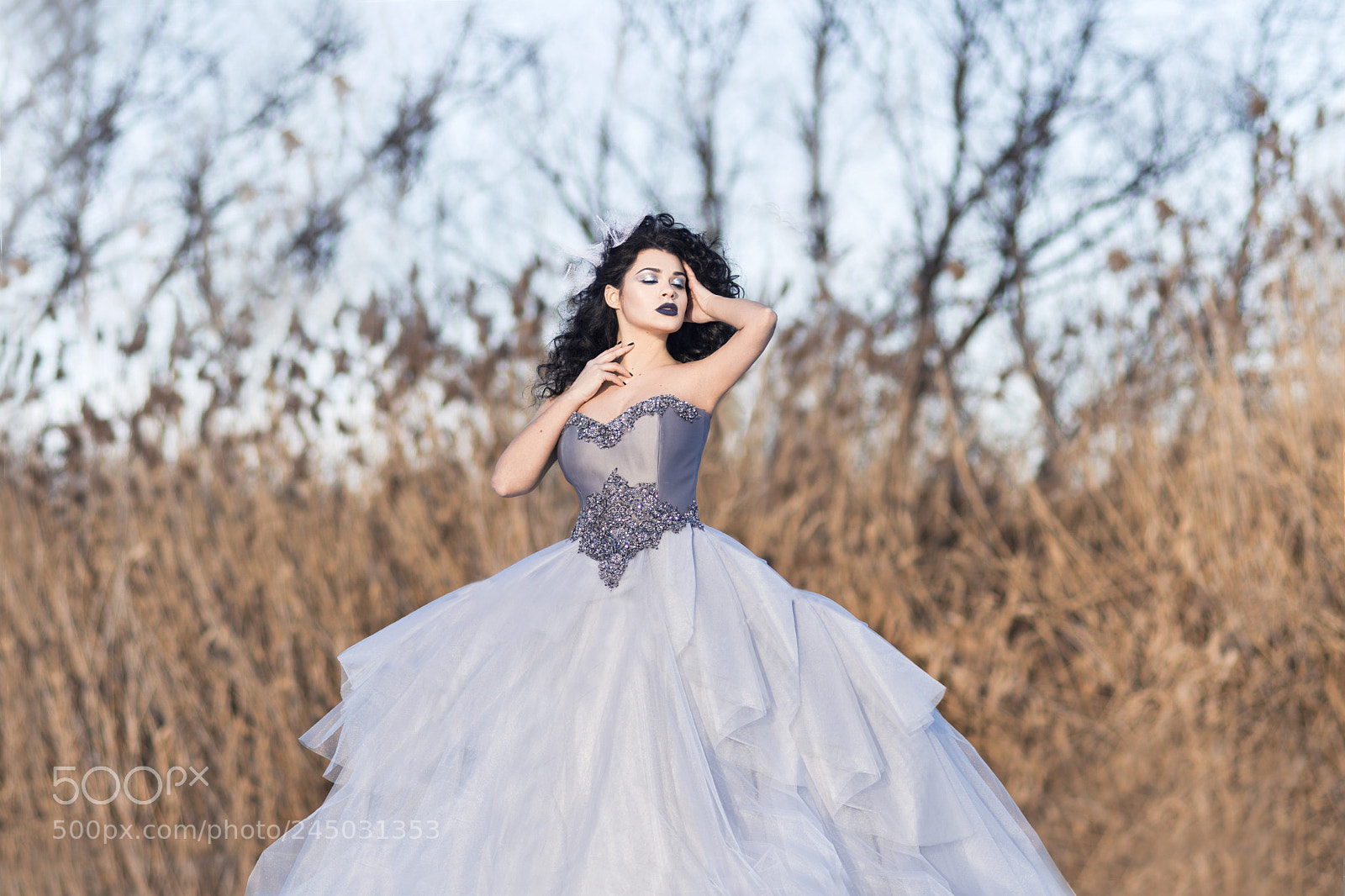 Nikon D7500 sample photo. Dream photography
