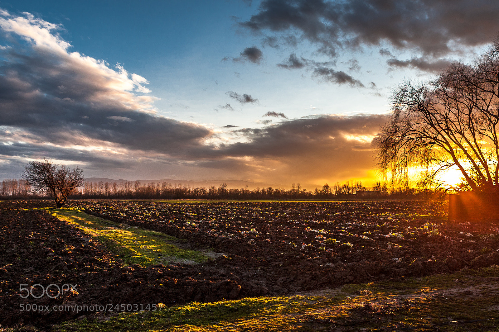 Canon EOS-1D Mark III sample photo. Sunset photography