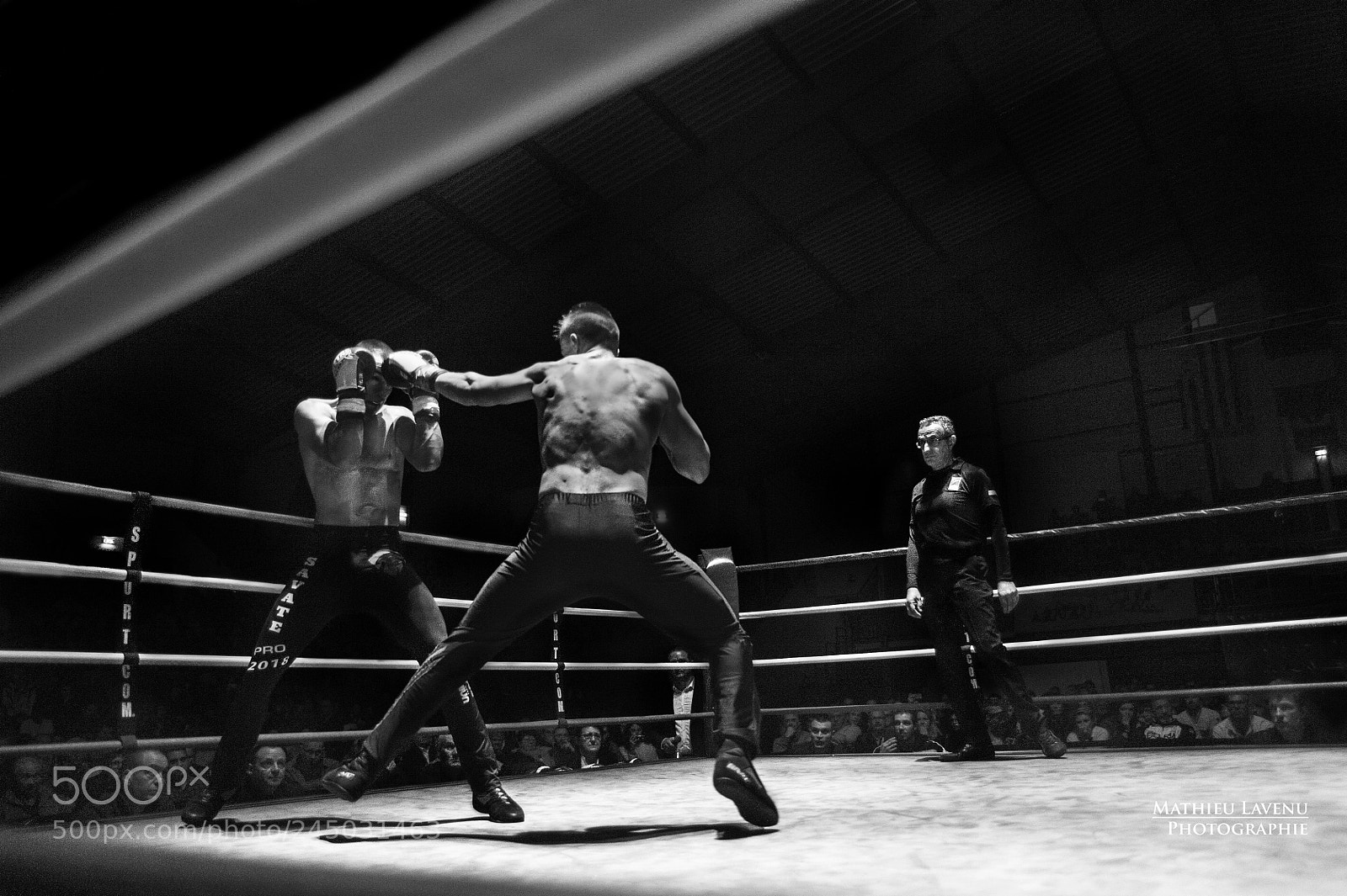 Nikon D700 sample photo. Direct photography