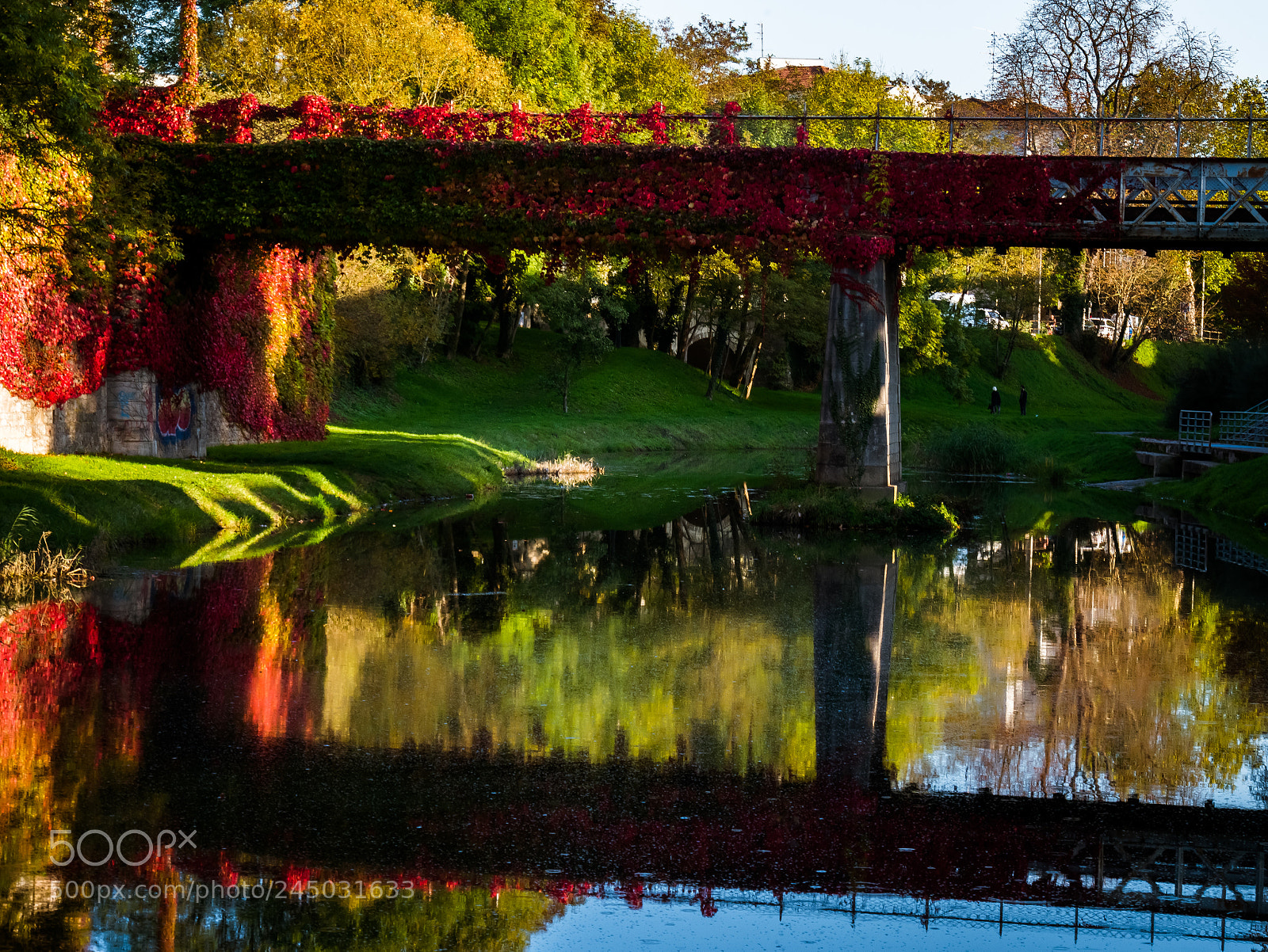 Panasonic Lumix DMC-G7 sample photo. Pont flambloyant photography