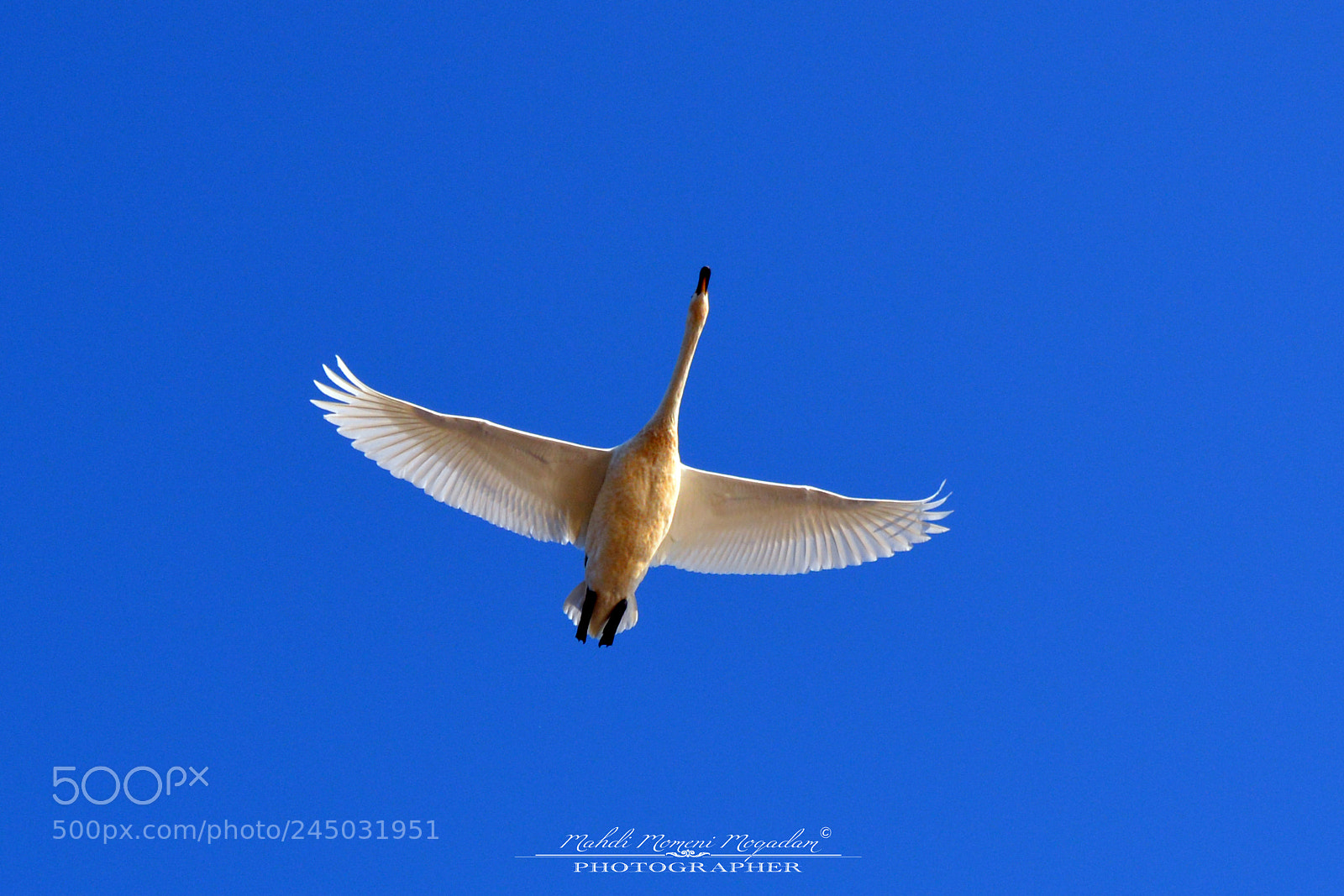 Nikon D5200 sample photo. Flight photography